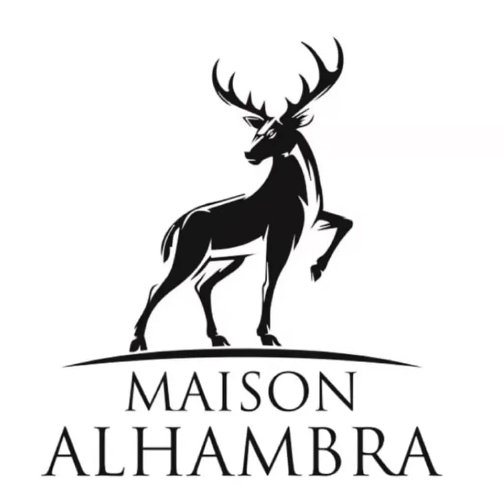 Jean Lowe Noir By Maison Alhambra For Men 3.4 oz EDP Spray - perfumesandrea