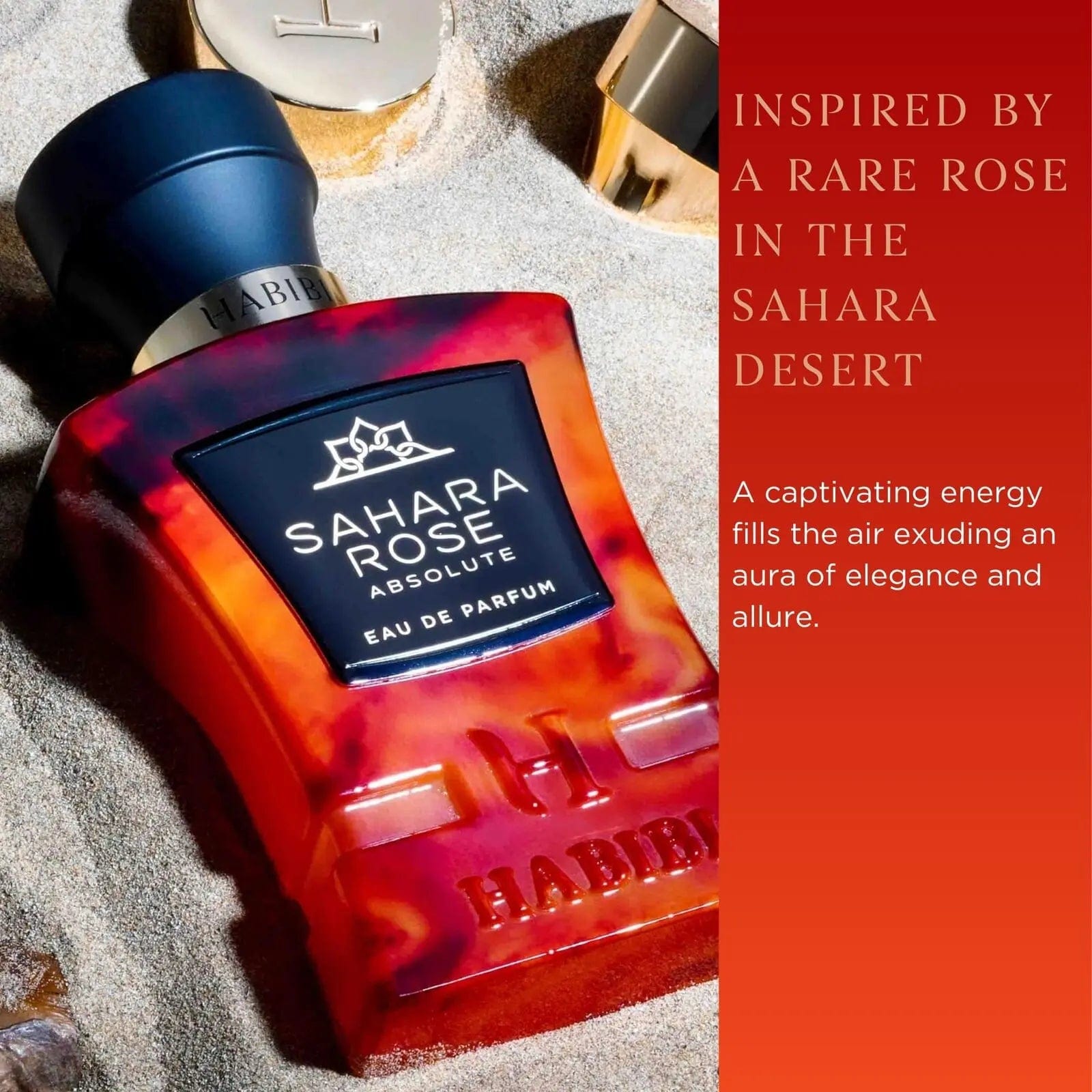 Sahara Rose Absolute By Habibi Unisex 2.5 oz Eau De Parfum Spray - perfumesandrea