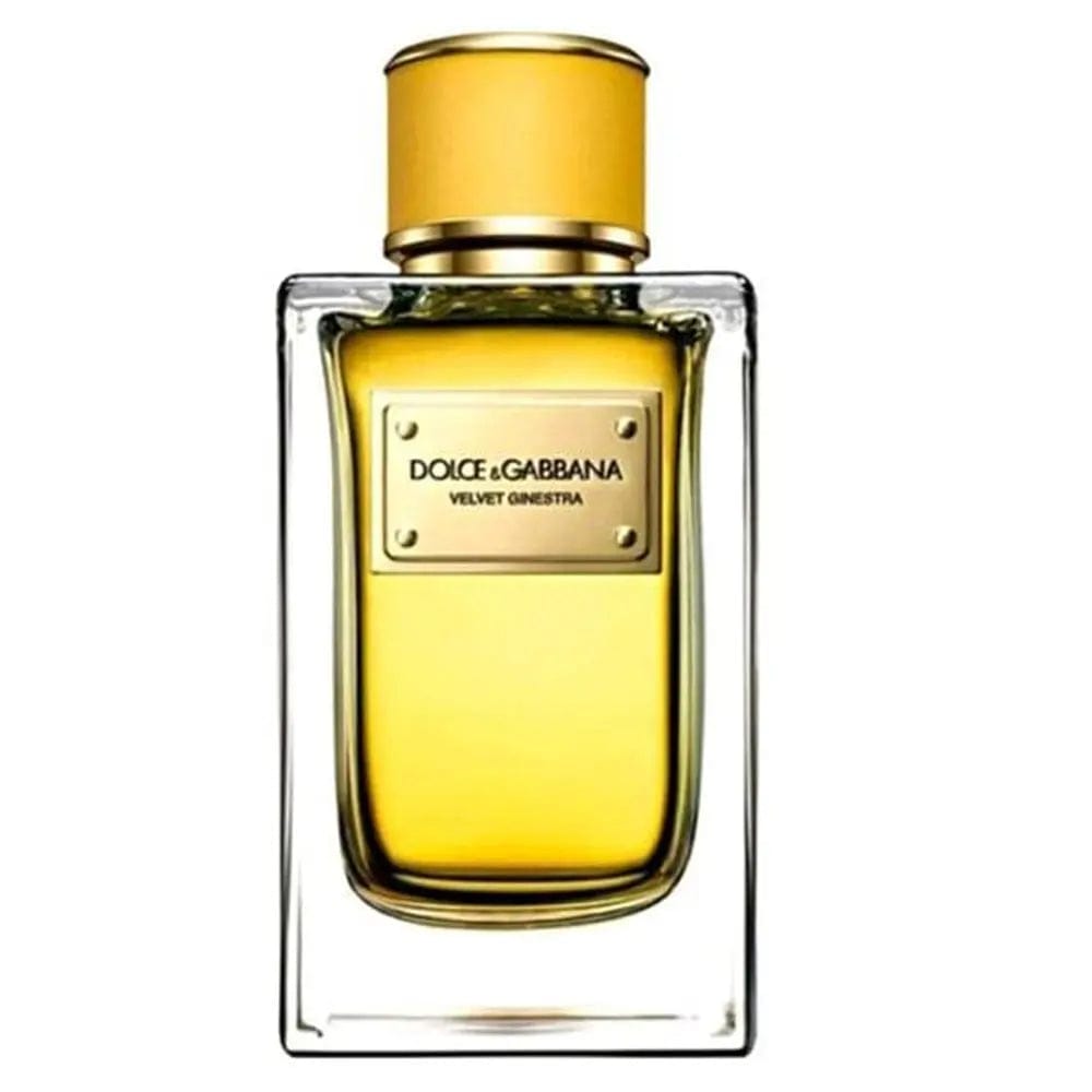 Velvet Ginestra By Dolce and Gabbana For Women 5.0oz EDT Spray - perfumesandrea