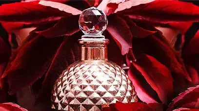 HOW-TO-APPLY-THE-PERFUME-ON-YOUR-BODY perfumesandrea