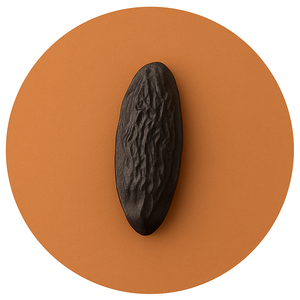 Tonka-Bean perfumesandrea