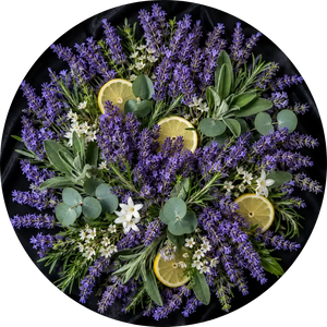 Lavender perfumesandrea