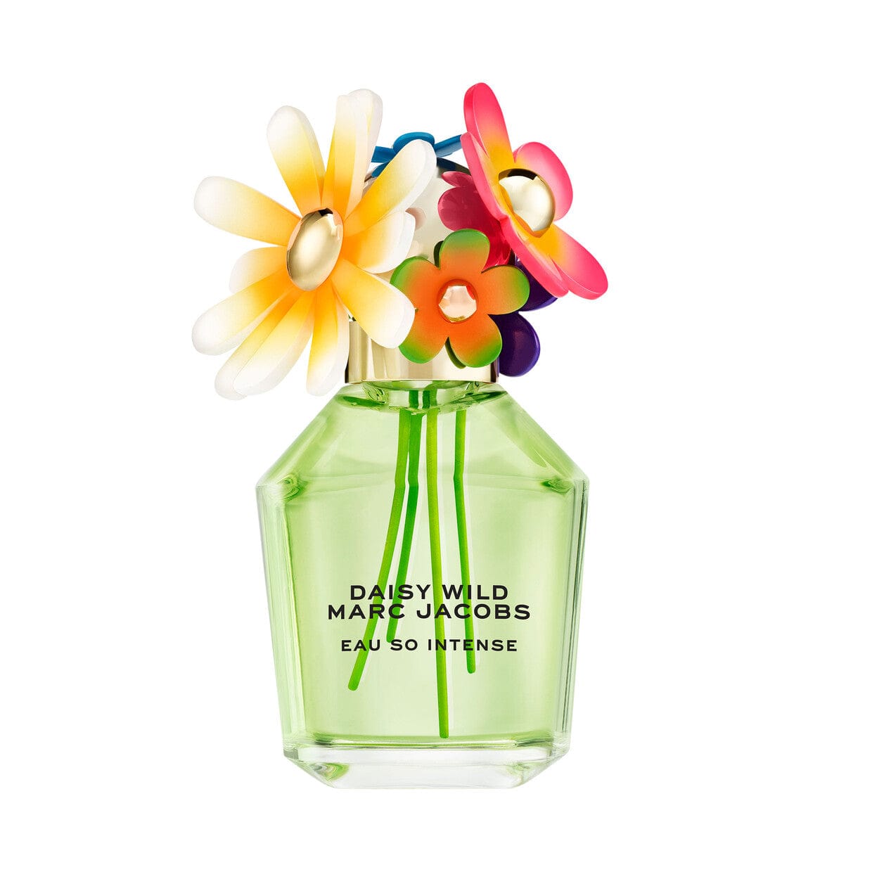 Daisy Wild Intense By Marc Jacobs - For Women 3.3oz EDP.