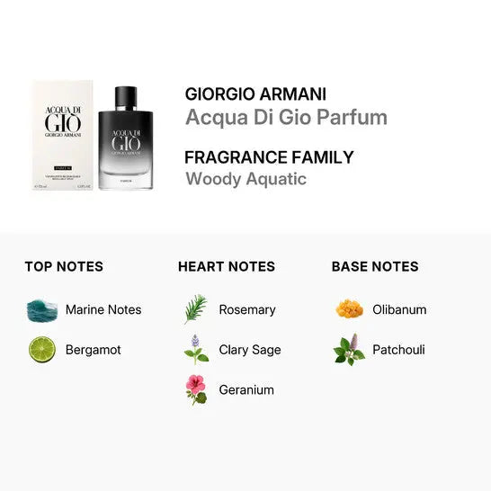 Acqua Di Gio Parfum Men 4.2oz Giorgio Armani