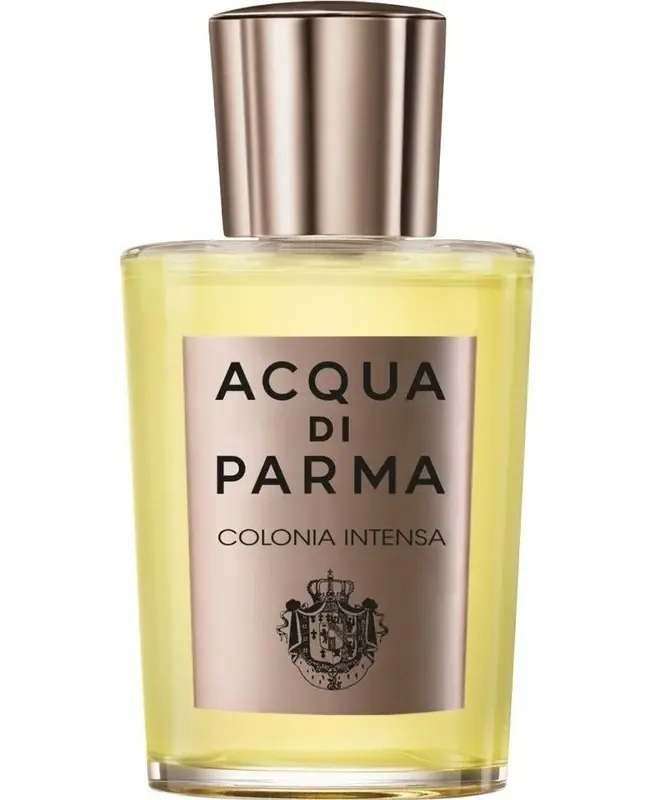Acqua Di Parma Colonia Intensa For Men 3.4 EDC Spray - perfumesandrea