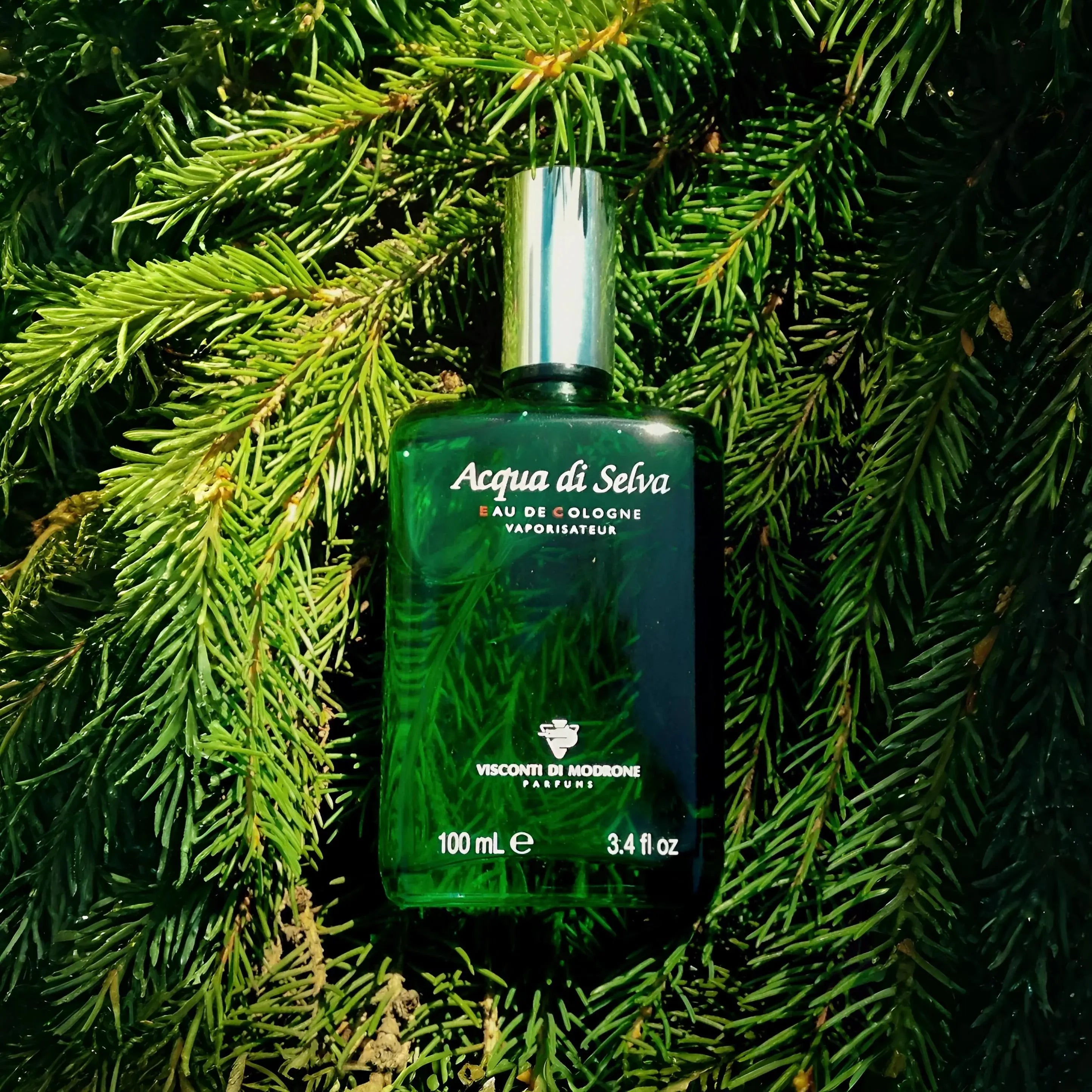 Acqua Di Selva by Visconti classic aromatic fragrance for men