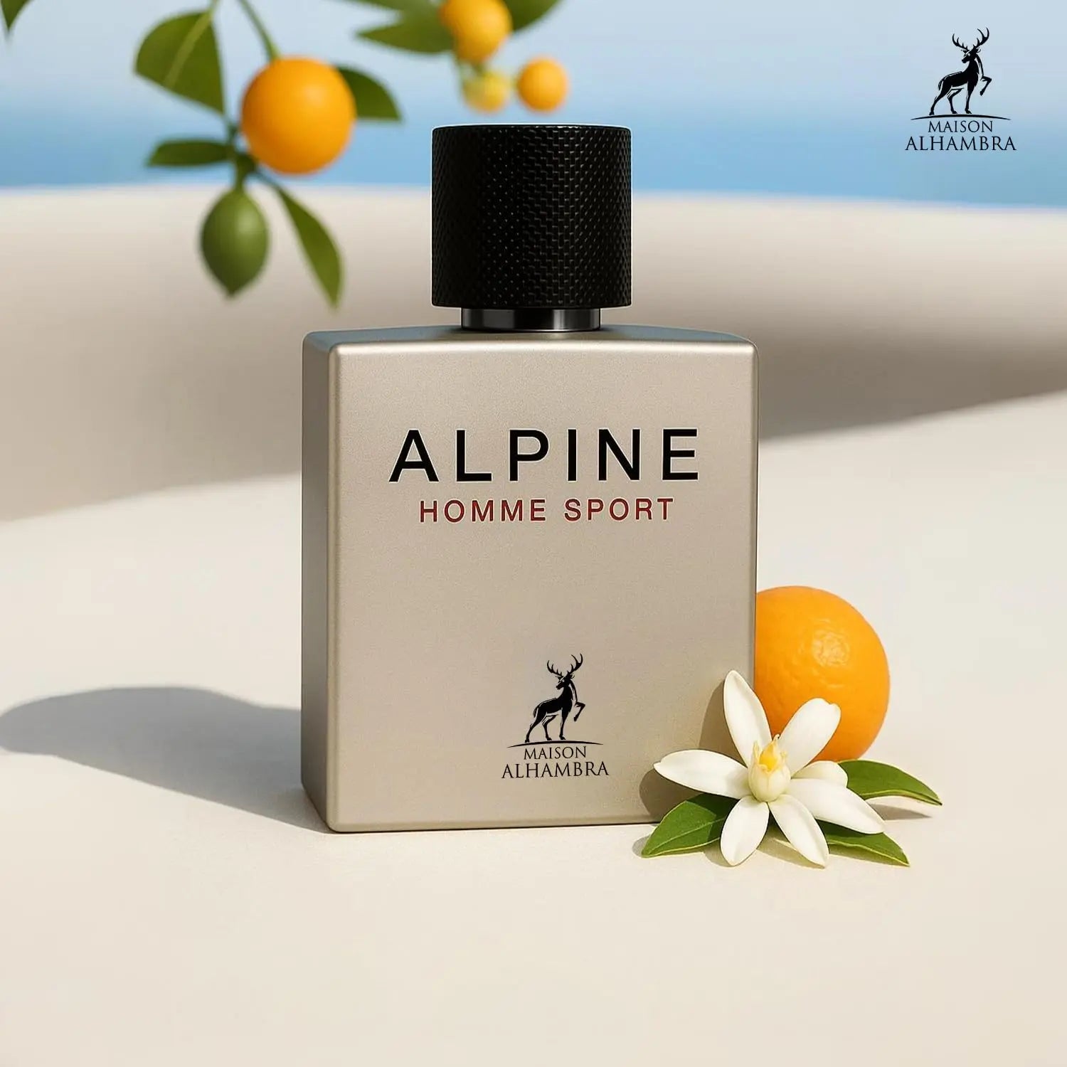 Alpine Homme Sport Alhambra Men 3.4oz EDP Spray