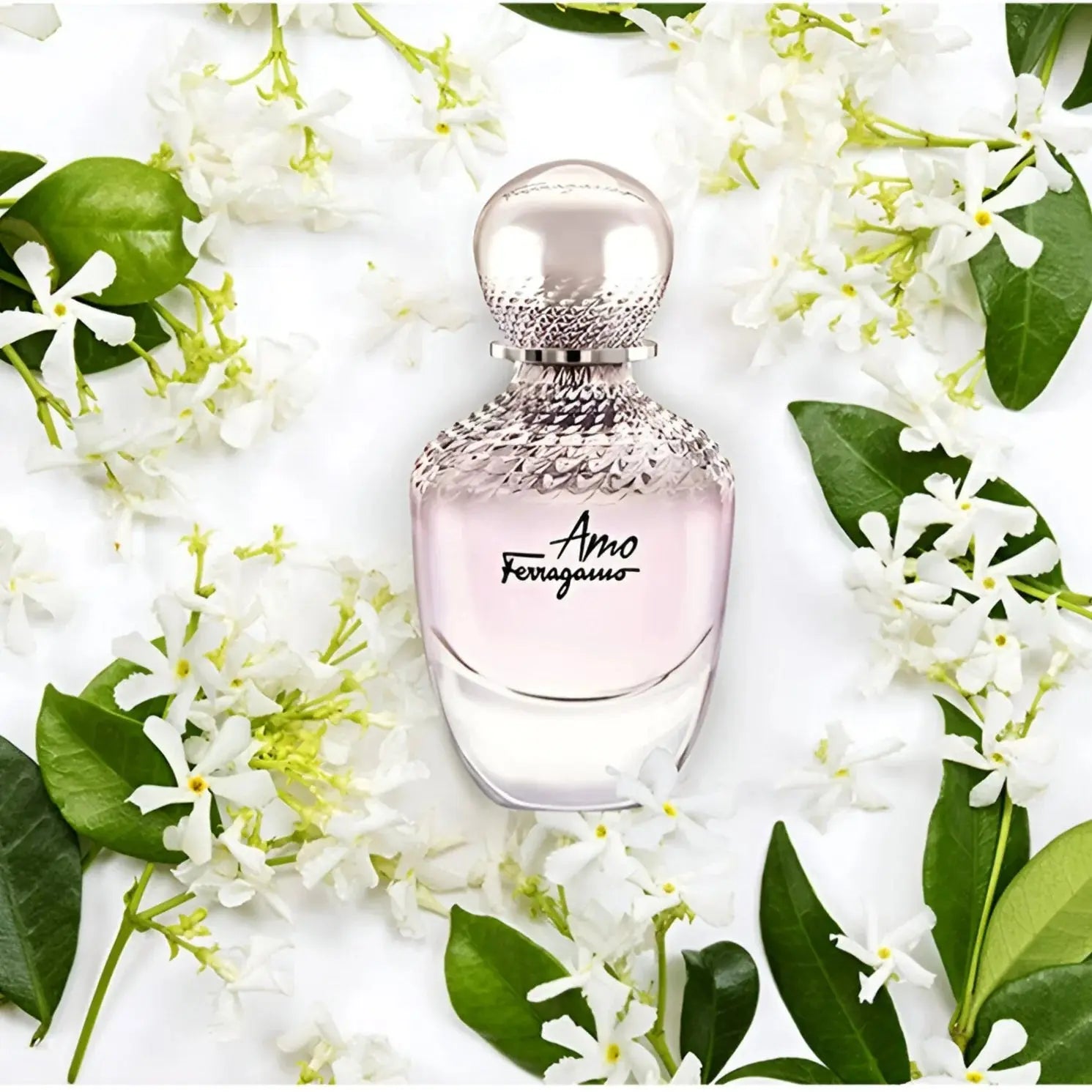 Amo Ferragamo By Salvatore Ferragamo For women 3.4oz EDP Spray Salvatore Ferragamo