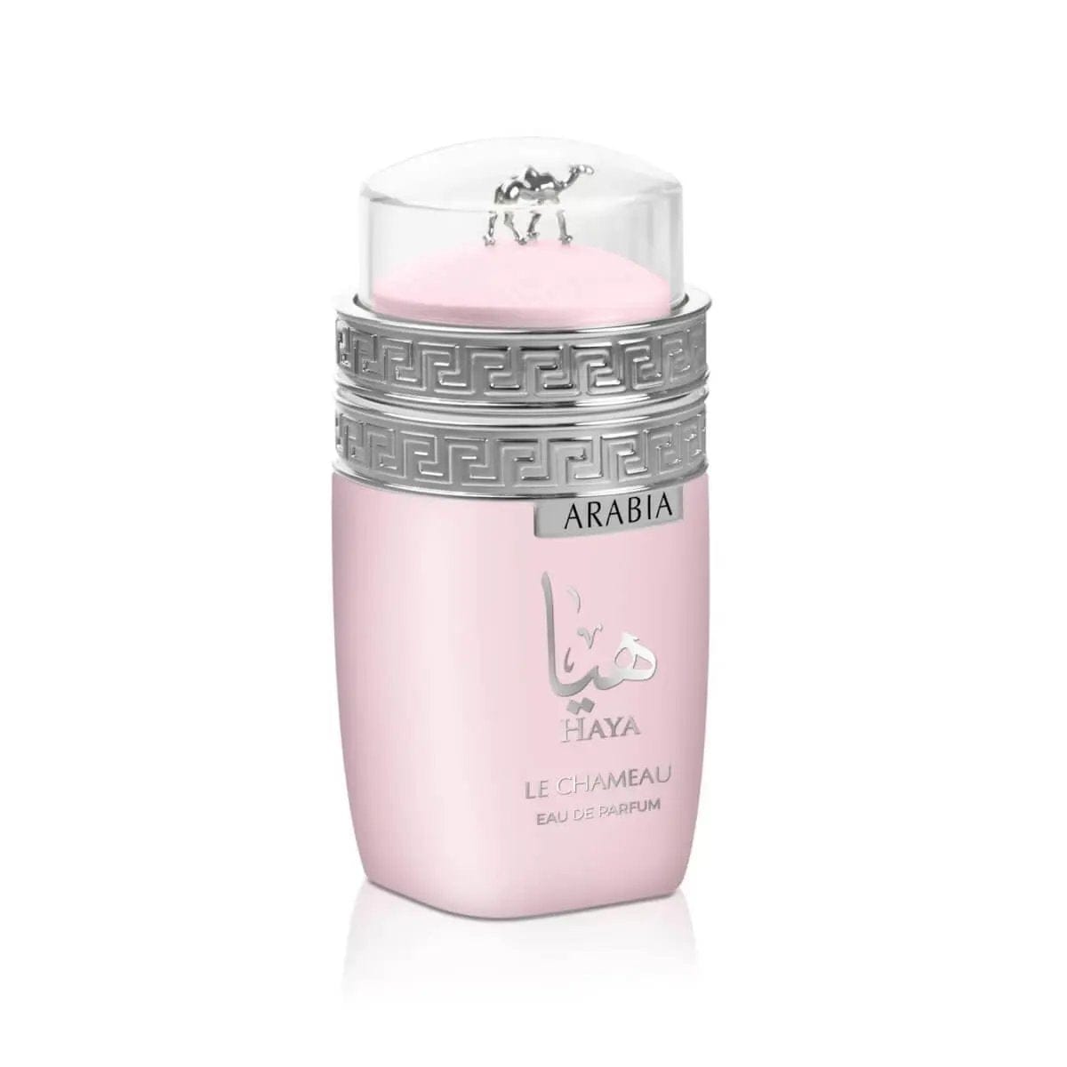 Arabia Haya by Le Chameau Unisex 3.4oz Eau De Parfum.