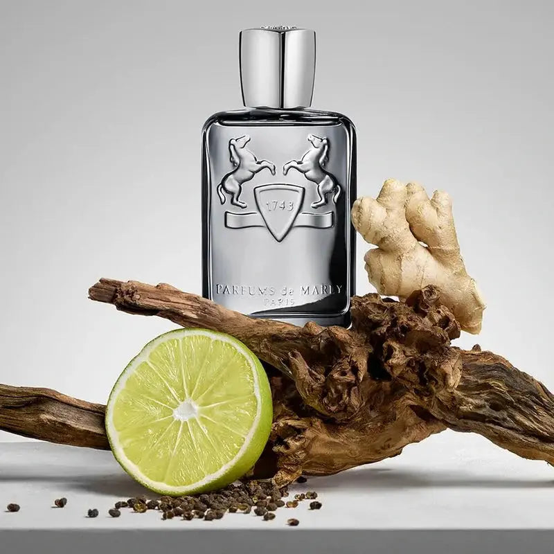 Castley by Parfums De Marly warm woody aromatic scent for men