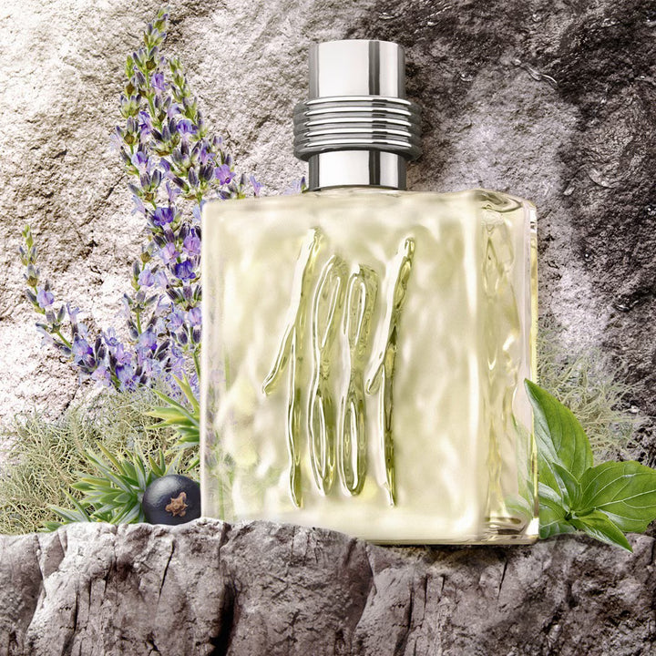Cerruti 1881 Pour Homme By Nino Cerruti 6.7 oz EDT Spray Nino Cerruti