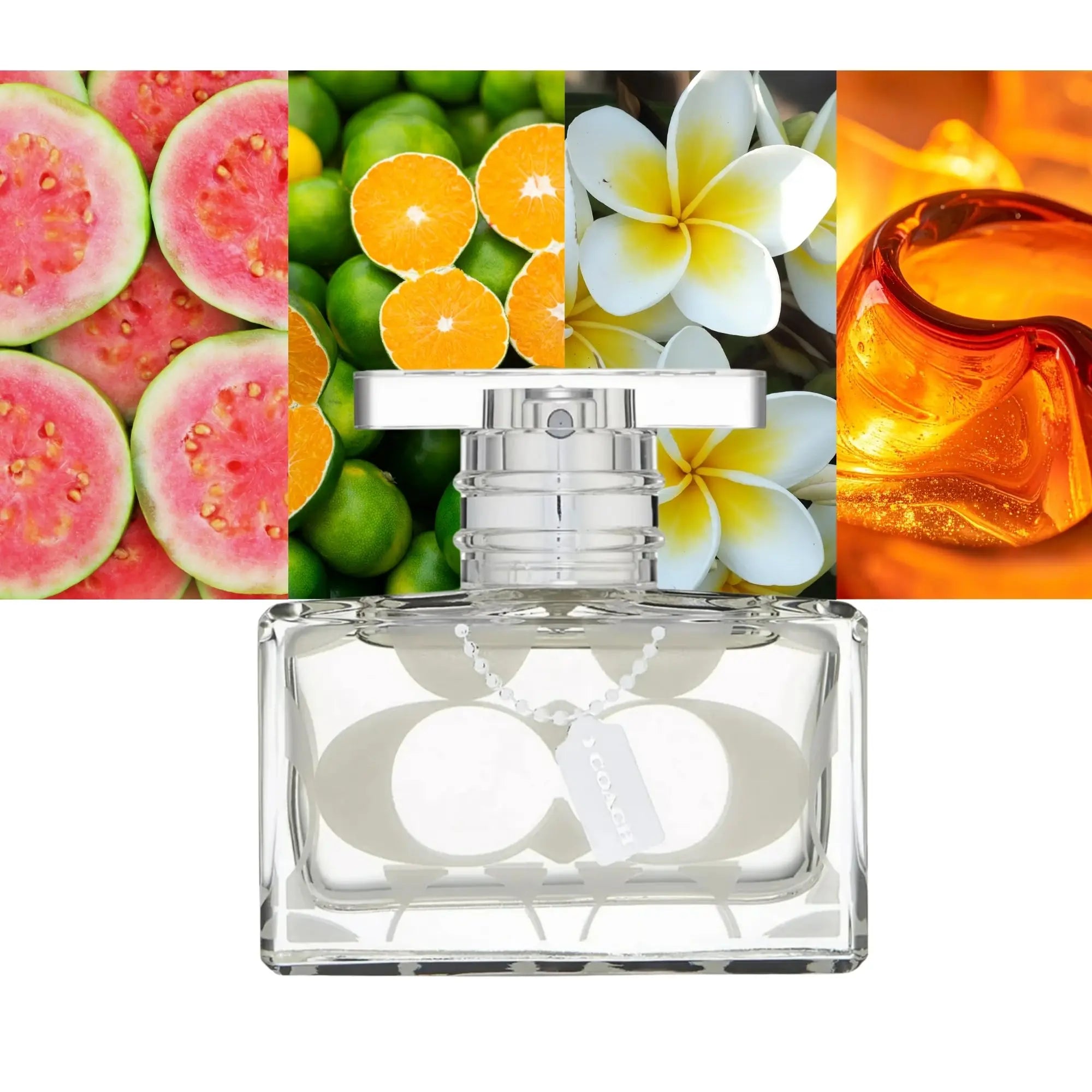 Coach Signature Women 3.3oz EDP Spray