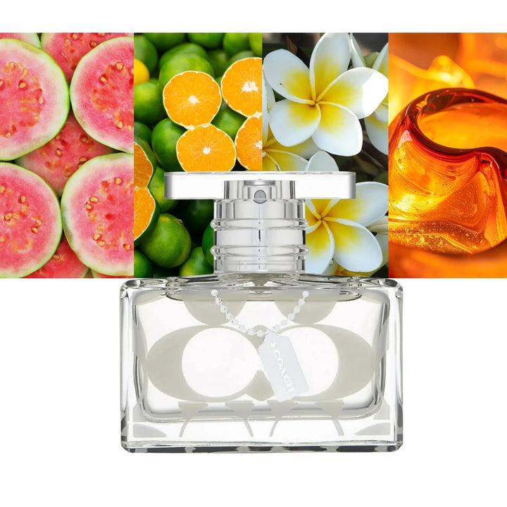 Coach Signature Women 3.3oz EDP Spray
