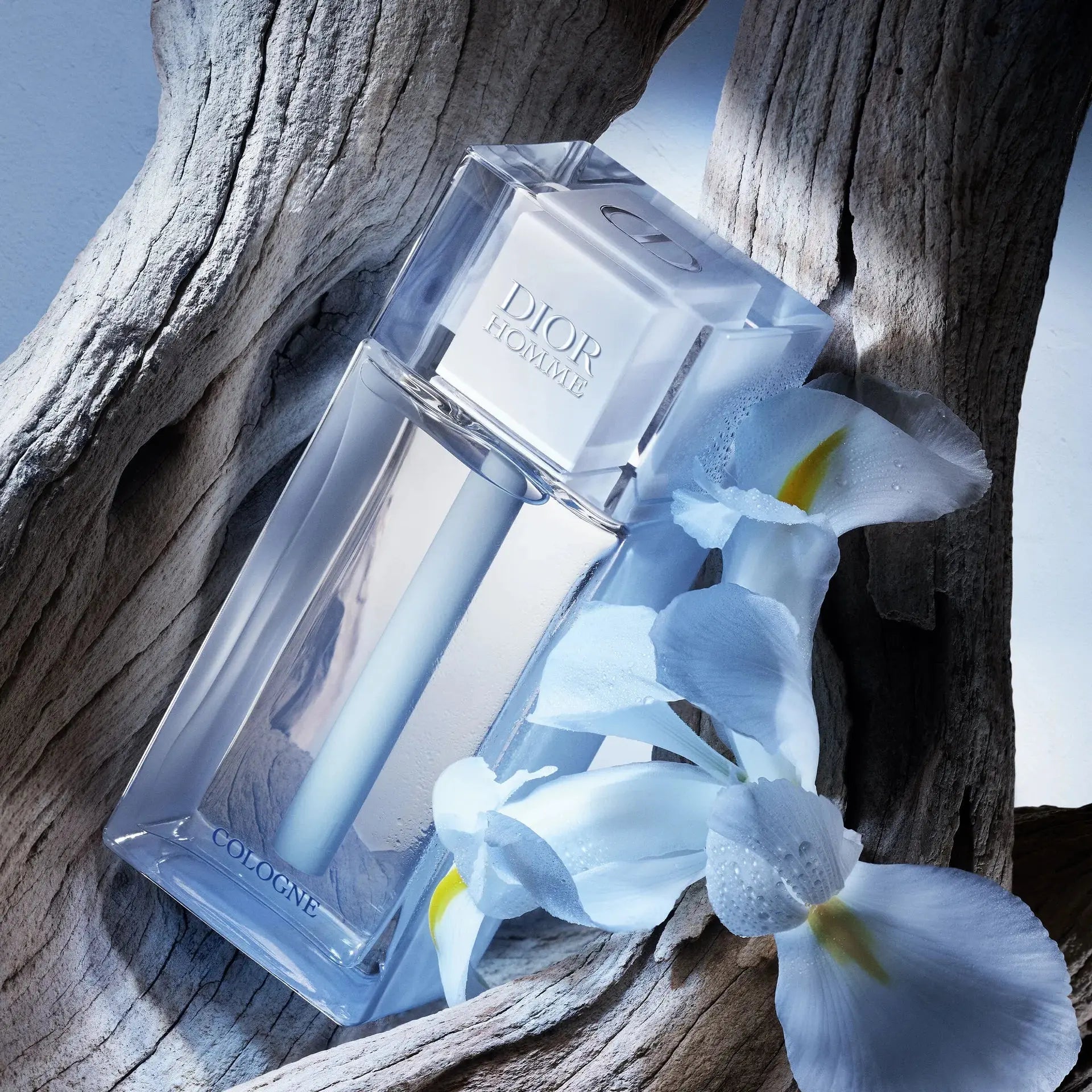 Dior Homme light citrus everyday scent