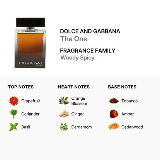 The One Dolce Gabbana Men 3.3oz EDP Spray