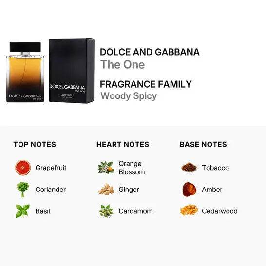 The One Dolce Gabbana Men 5.0oz EDP Spray