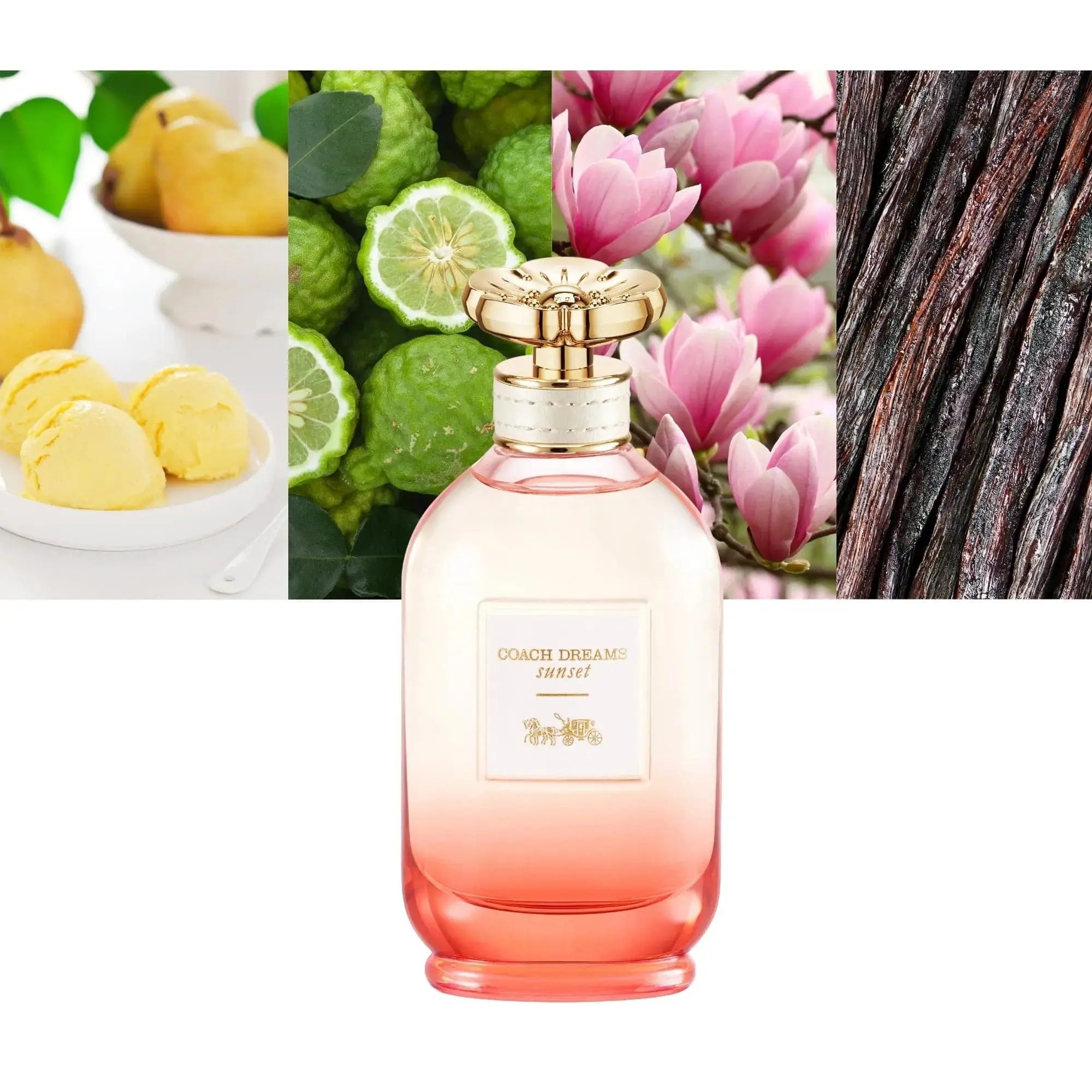 Dreams Sunset by Coach radiant feminine summer scent