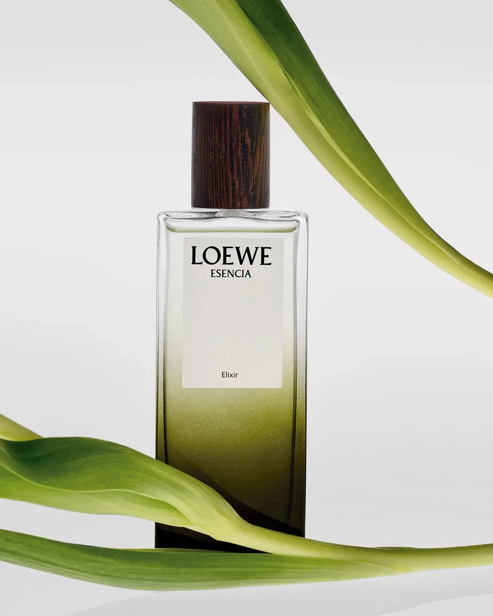 Esencia Elixir By Loewe For Men 3.4oz EDP Spray Loewe
