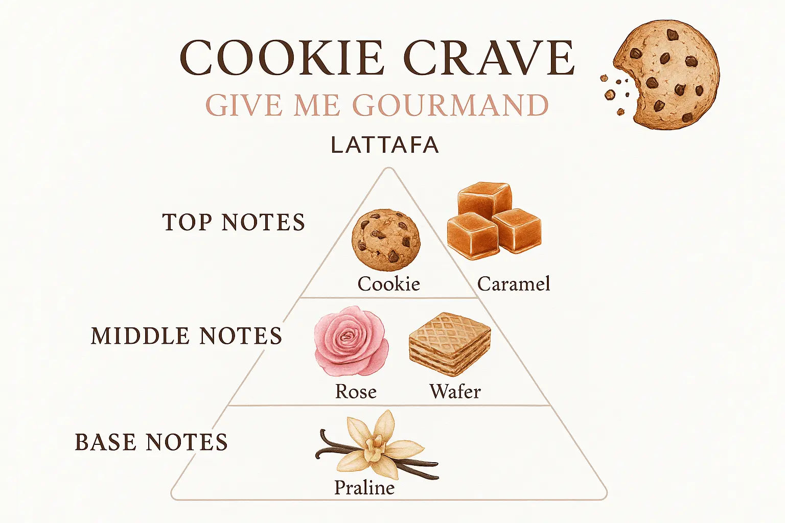 Notas del perfume Cookie Crave
