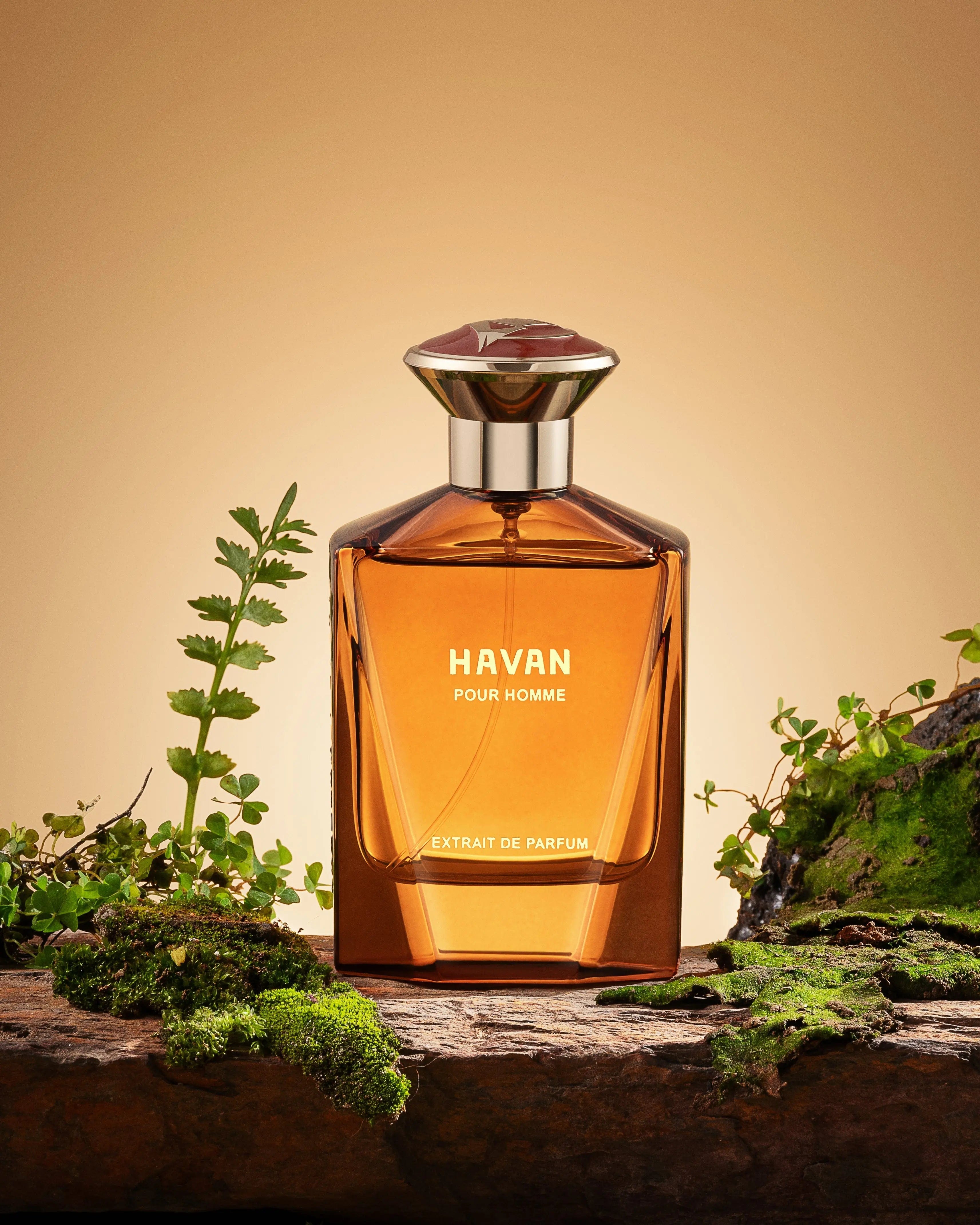 Havan Pour Homme By Fragrance Story Inc For Men 3.4oz EDP Spray Fragrance Story