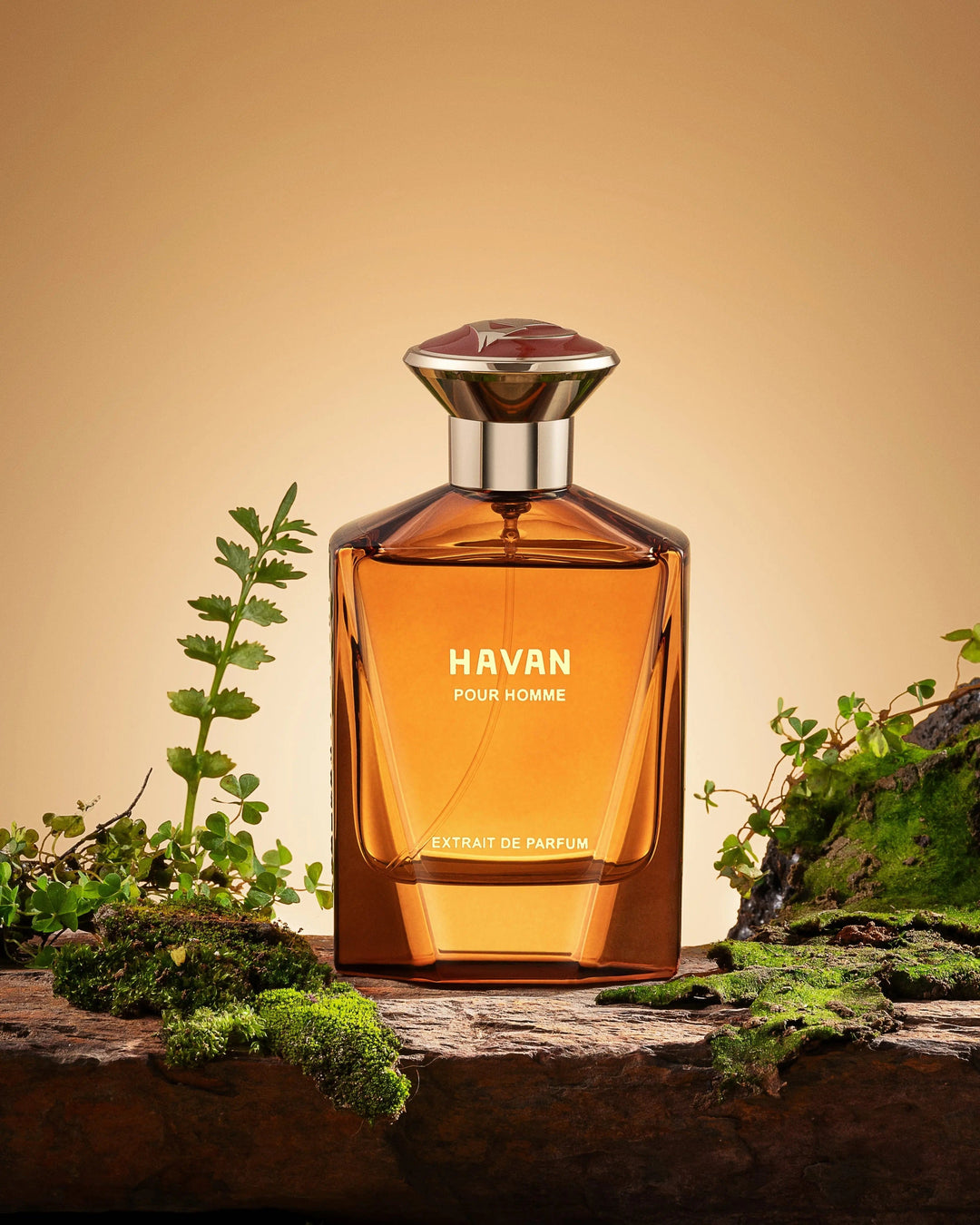Havan Pour Homme By Fragrance Story Inc For Men 3.4oz EDP Spray Fragrance Story