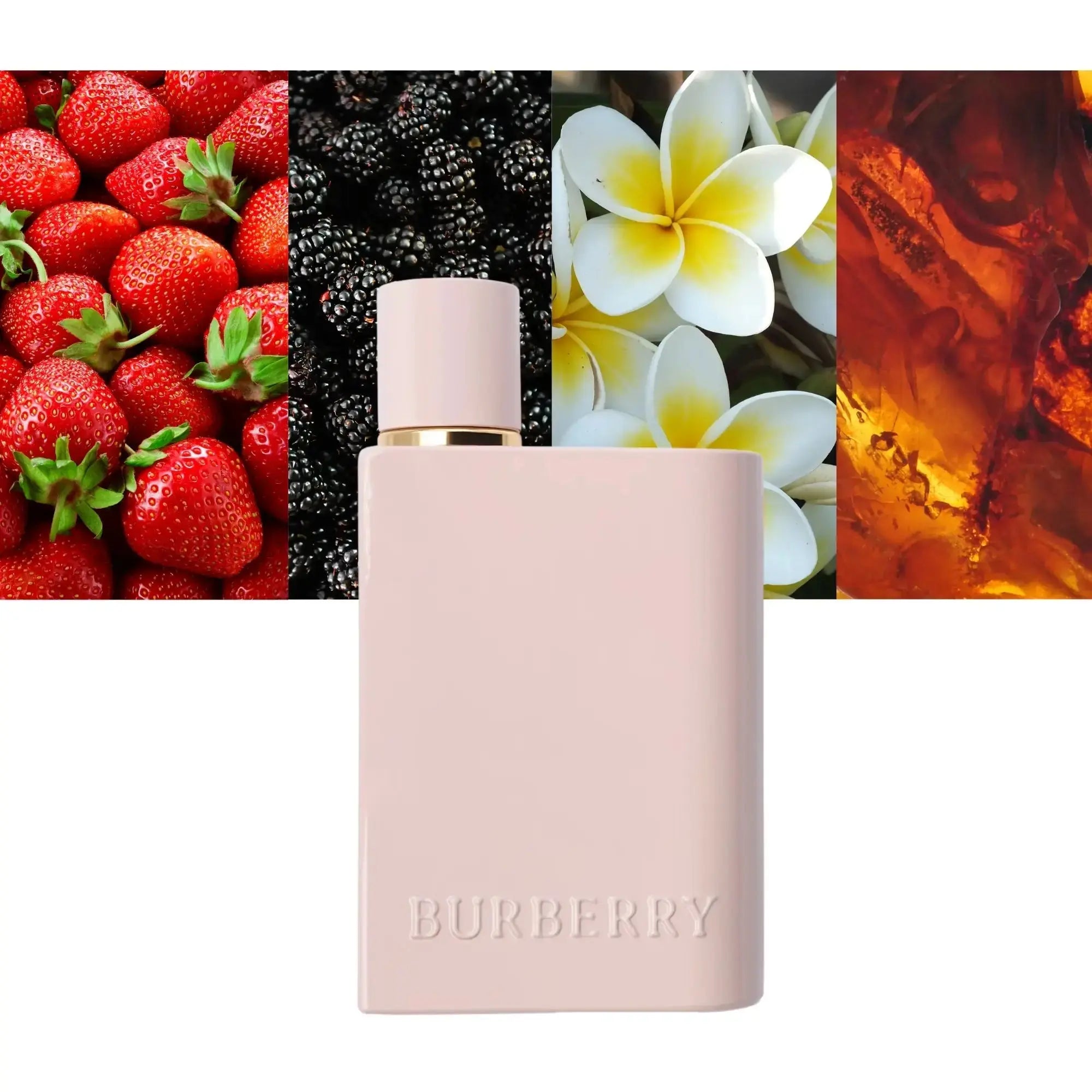 Her Elixir by Burberry – Women’s 3.4oz Eau De Parfum