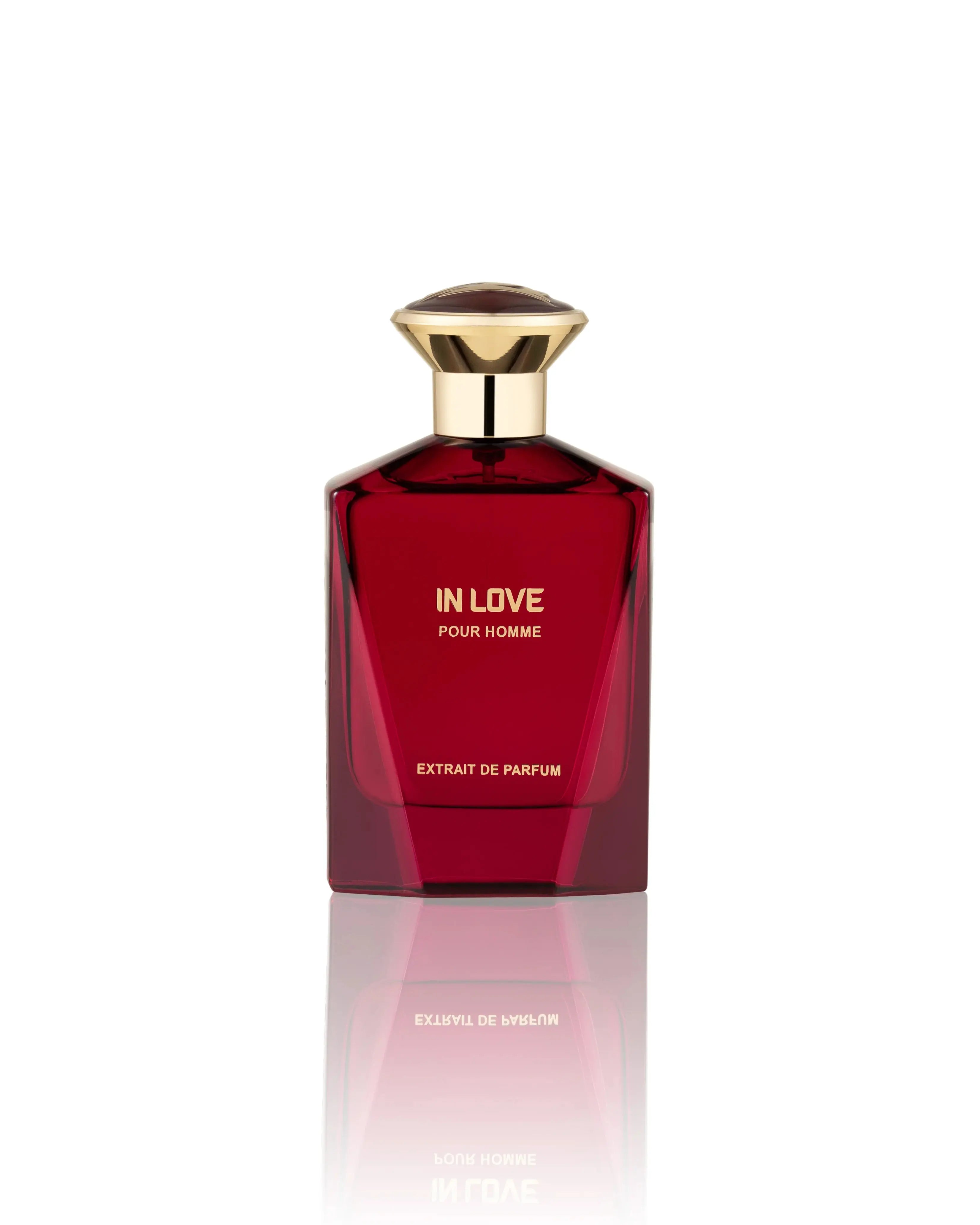 In Love Pour Homme by Fragrance Story 3.4oz Men’s Eau de Parfum