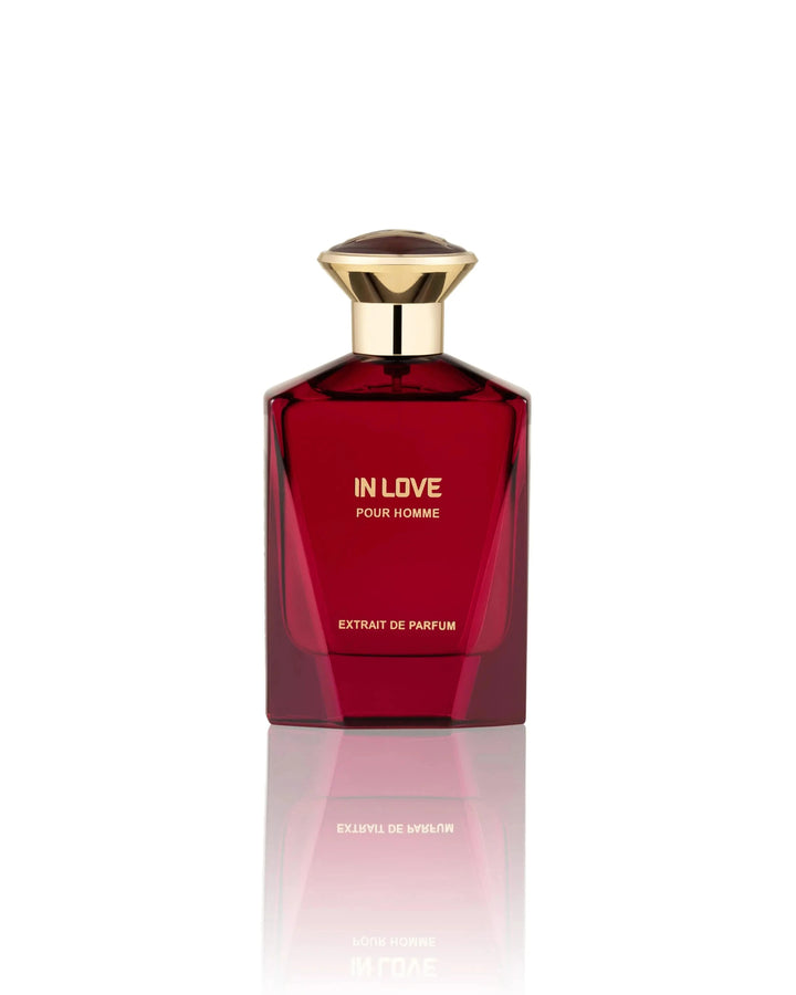 In Love Pour Homme by Fragrance Story 3.4oz Men’s Eau de Parfum
