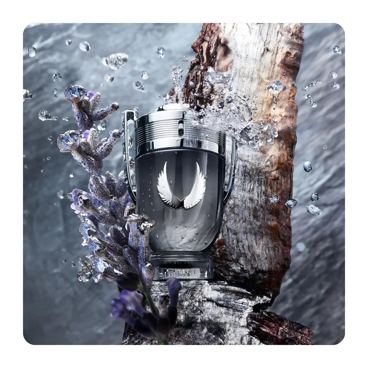 Invictus Platinum By Paco Rabanne For Men 3.4oz EDP Spray Paco Rabanne