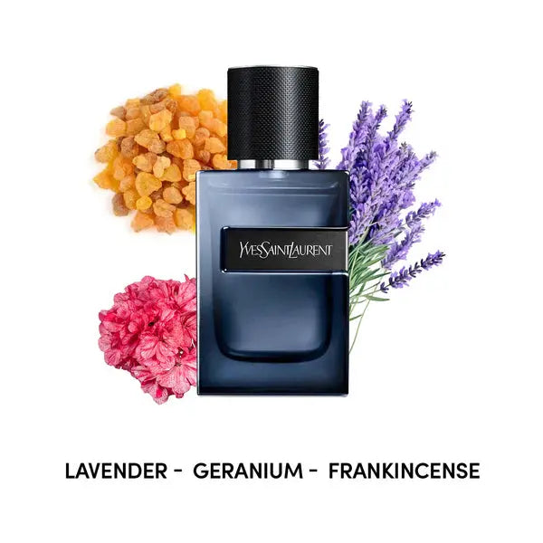 L'Elixir Concentré by Yves Saint Laurent bold woody masculine scent
