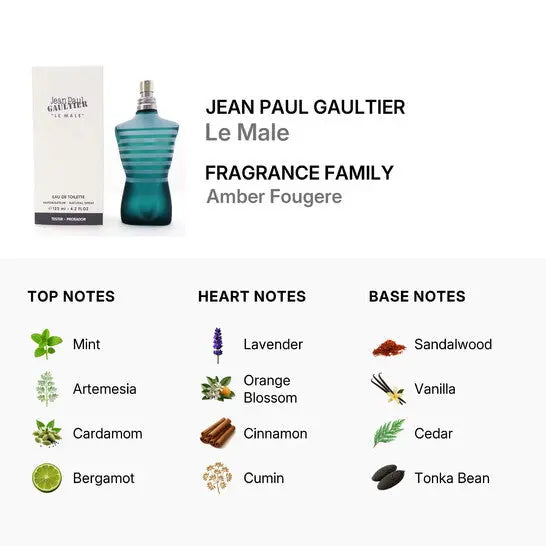 Le Male JPG bold masculine fragrance for men