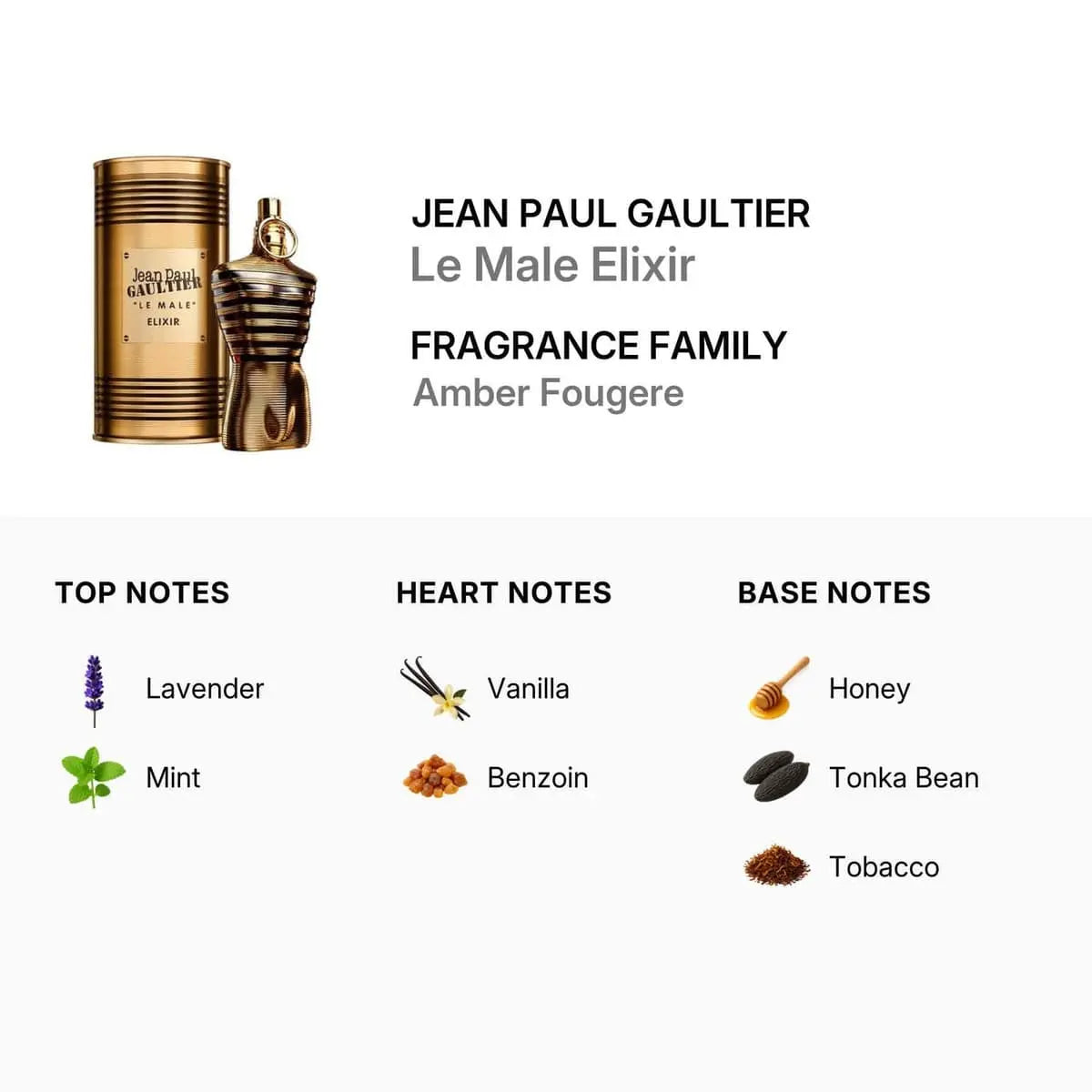 Le Male Elixir JPG warm masculine fragrance