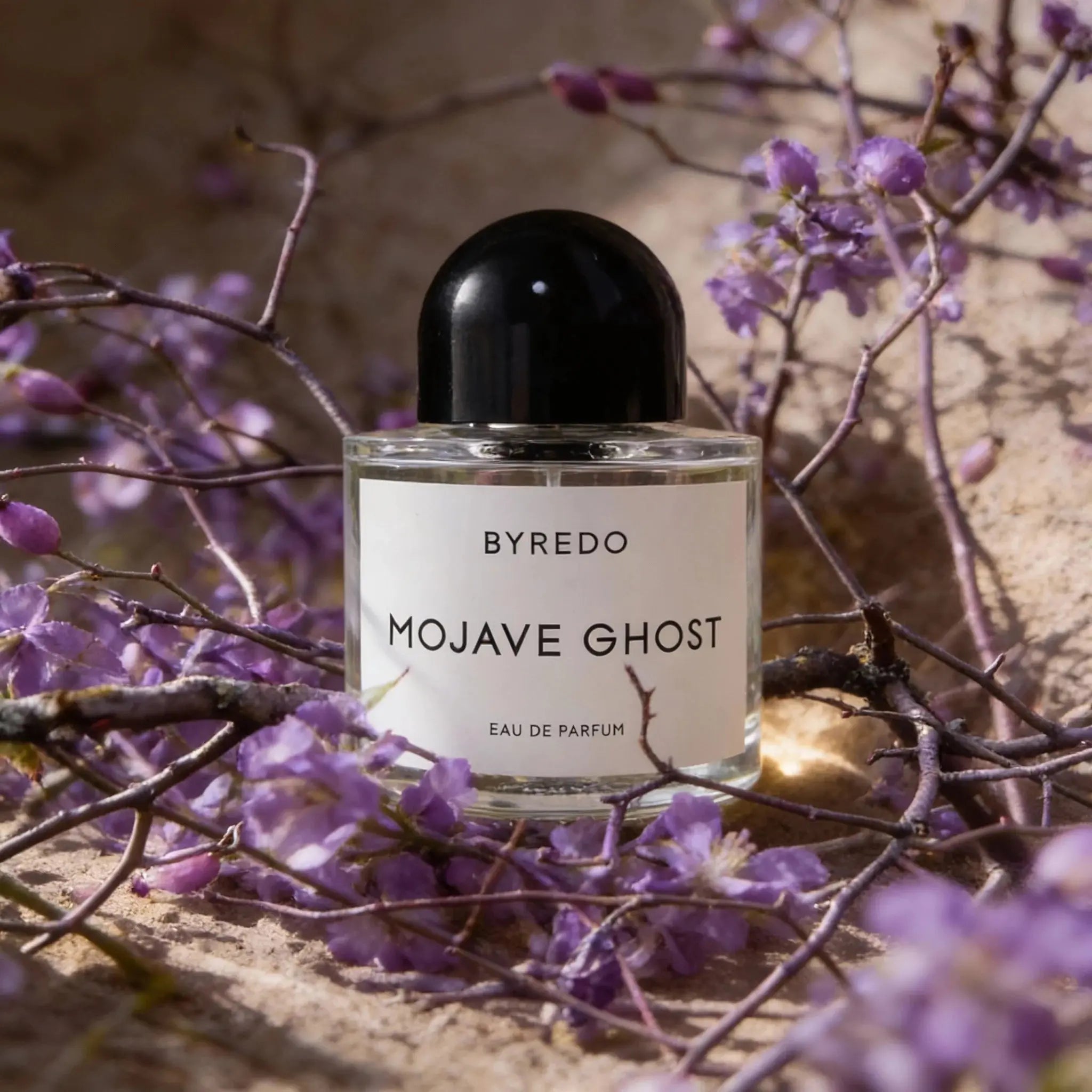 Mojave Ghost by Byredo elegant niche fragrance for men and women