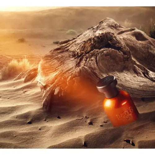 Nel Vento by Bois Vento elegant unisex fragrance for everyday wear
