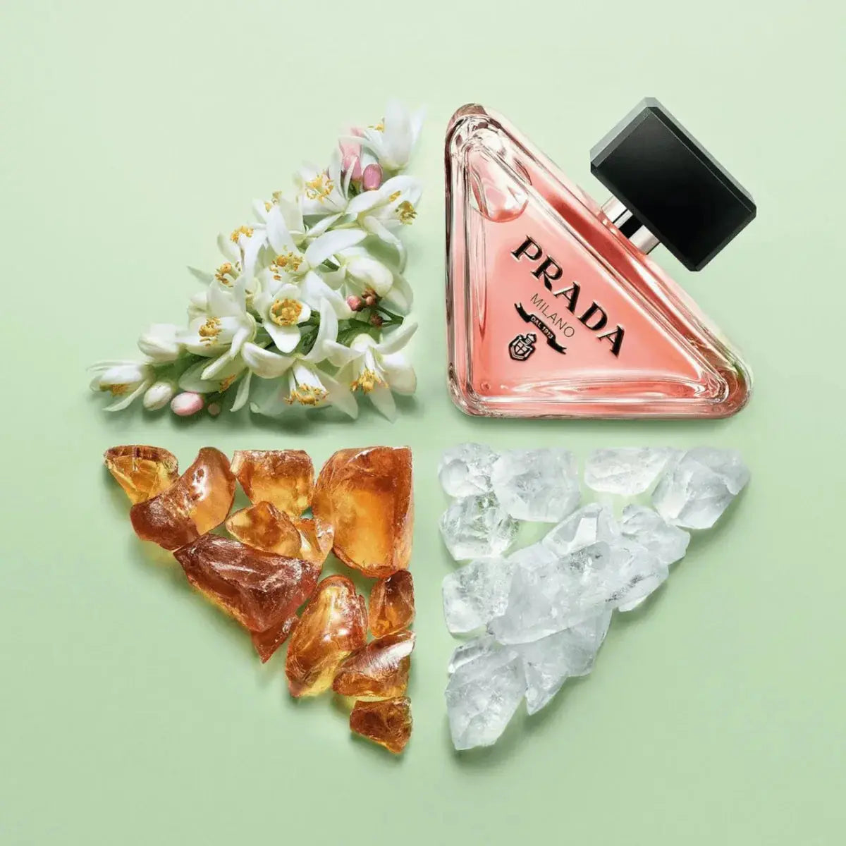 Paradoxe by Prada for Women | 3.0 oz Eau de Parfum Spray