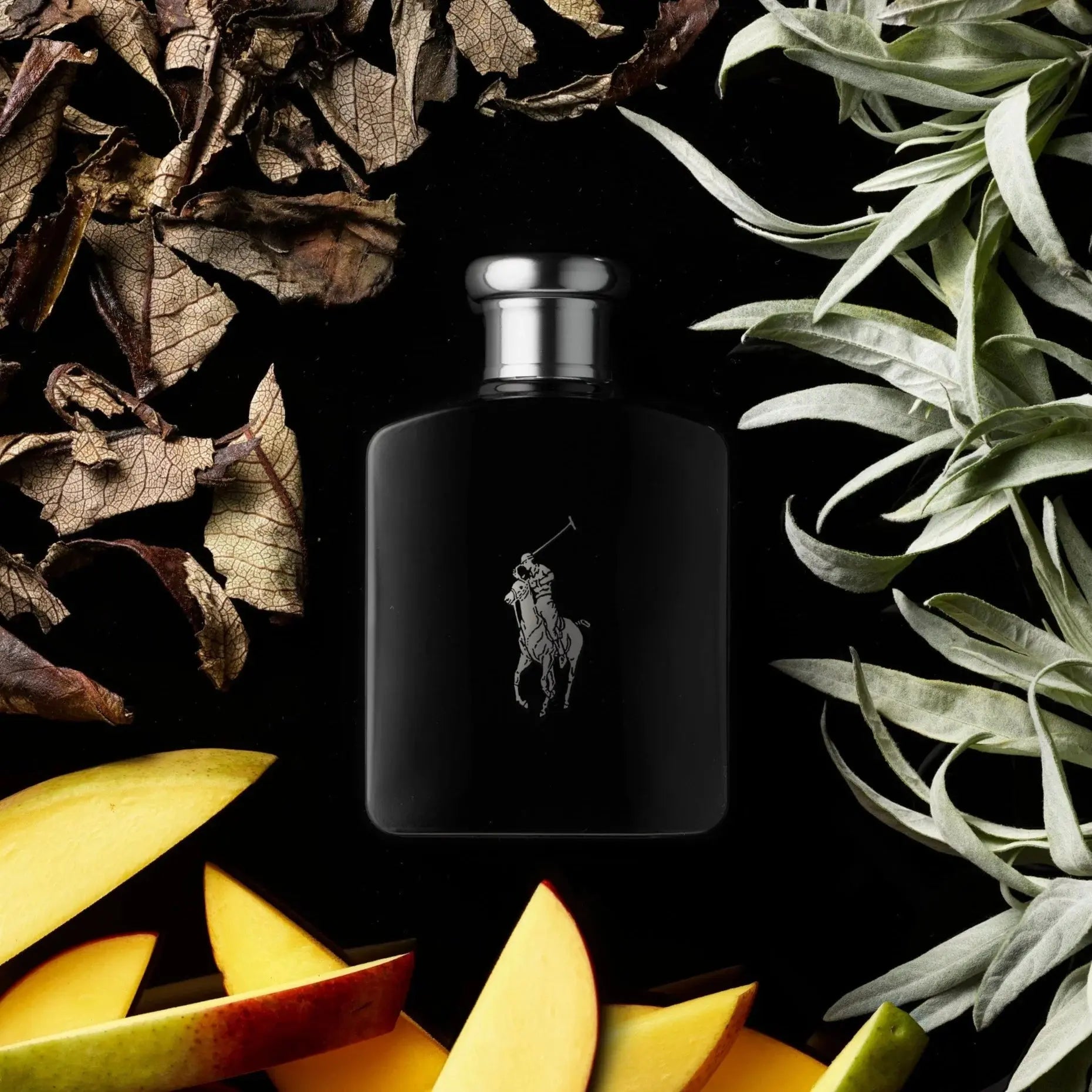 Polo Black By Ralph Lauren For Men 4.2oz EDT Spray (Tester) Ralph Lauren