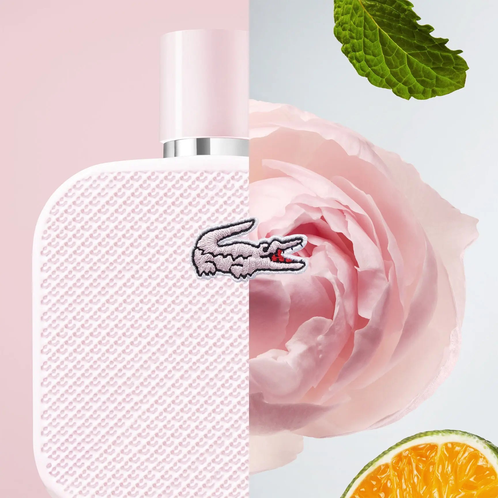 Rose by Lacoste elegant floral fragrance for women

