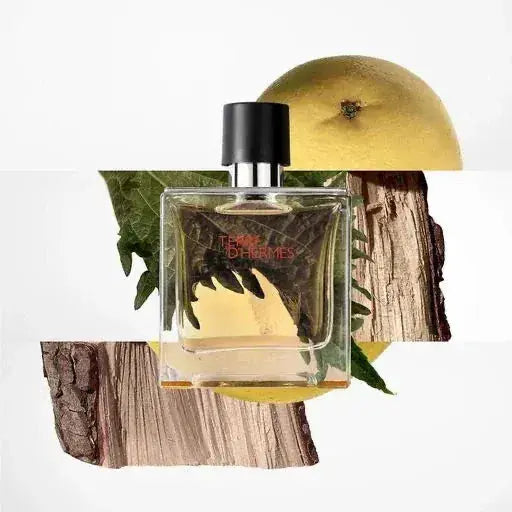 Terre D'Hermes by Hermes - For Men 3.3oz EDT Spray