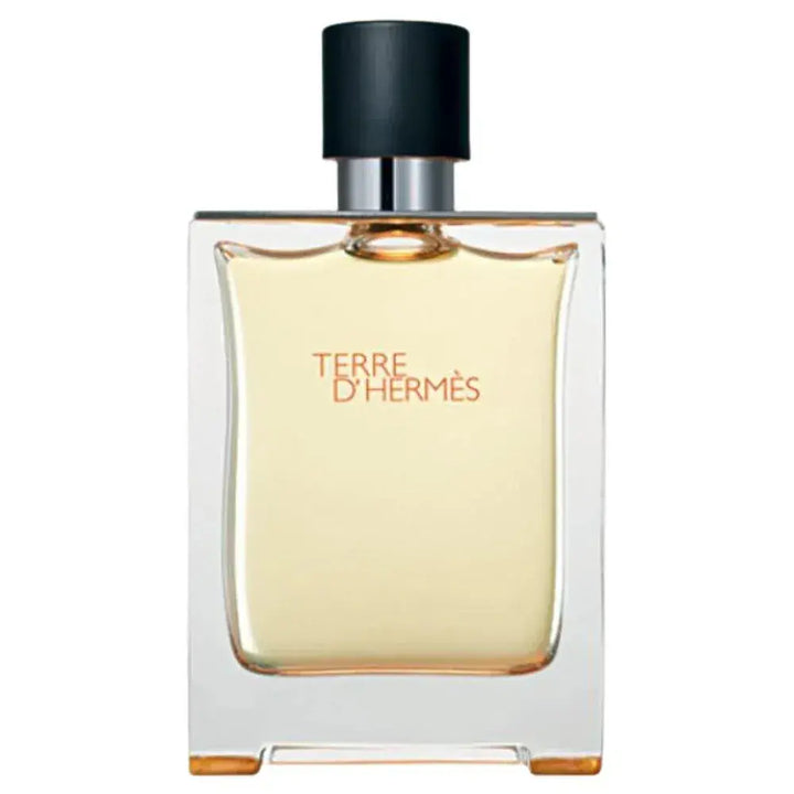 Terre D&