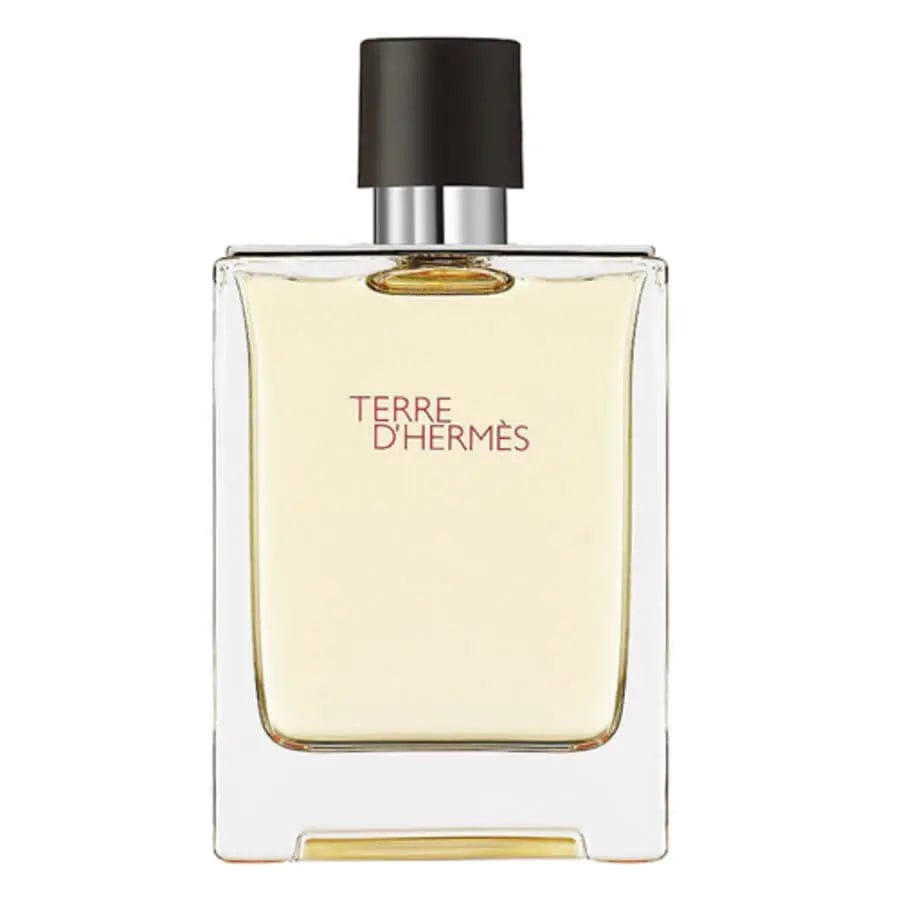 Terre Dhermes Eau Intense Vetiver By Hermes For Men  3.3 oz EDP Spray - perfumesandrea