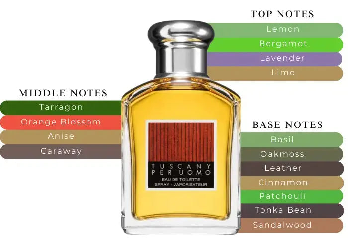 Tuscany Uomo by Aramis for Men EDT bottle detail designer perfume