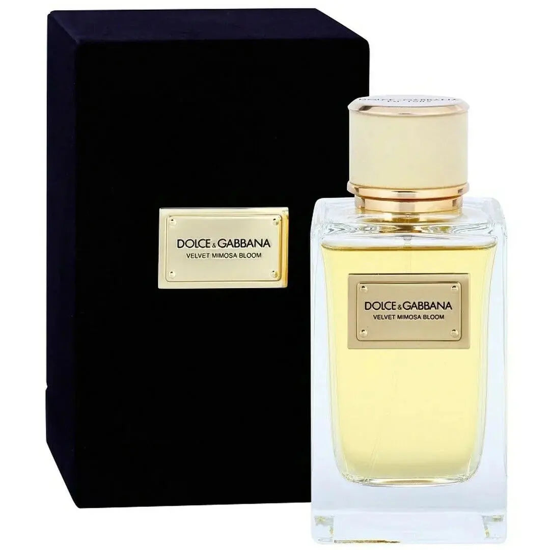 Velvet Mimosa Bloom By Dolce &amp; Gabbana For Women 5.0oz EDP Spray