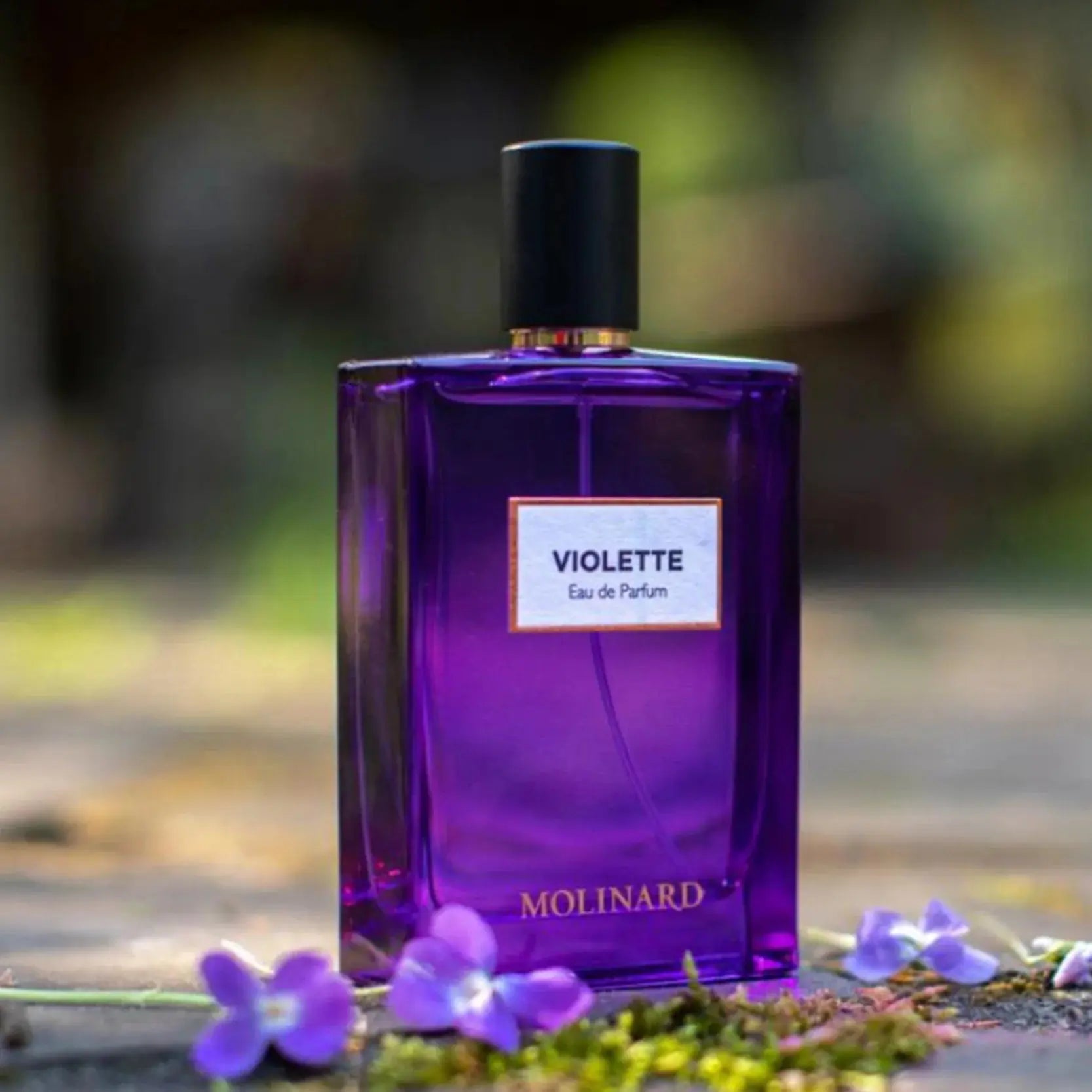 Violette By Molinard Unisex 2.5oz EDP Spray Molinard
