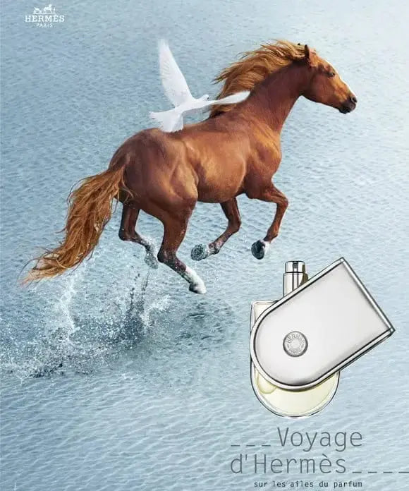 Voyage D'Hermes - For Unisex 3.3oz Eau De Toilette