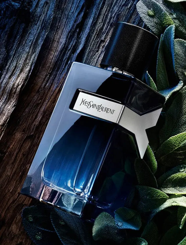 Y YSL fresh modern masculine fragrance