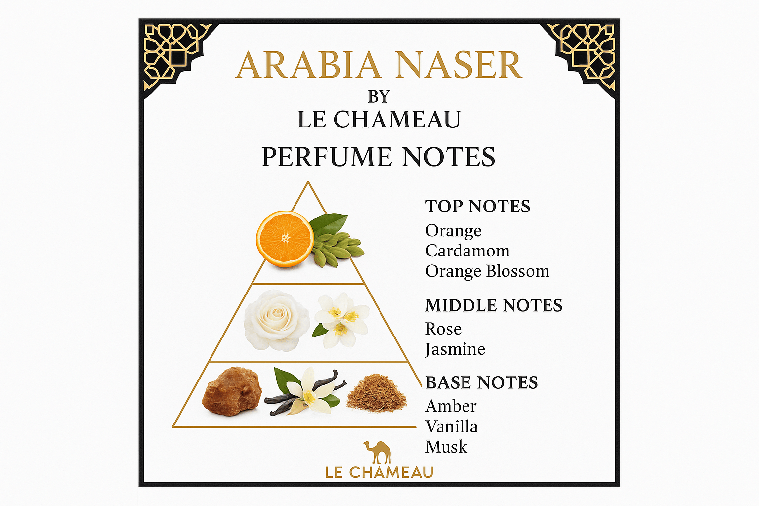 Notas del perfume Arabia Naser