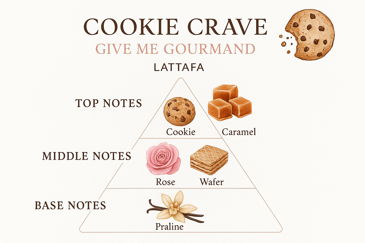 Notas del perfume Cookie Crave